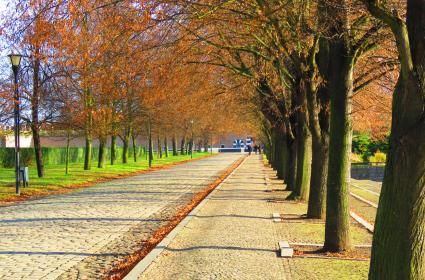 Terezín Toplama Kampı: Tünelin Görünmeyen Ucu 