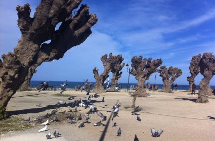 Barbaros&#039;un izinde Cherchell 