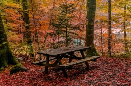 Yedigöller&#039;de sonbahar 