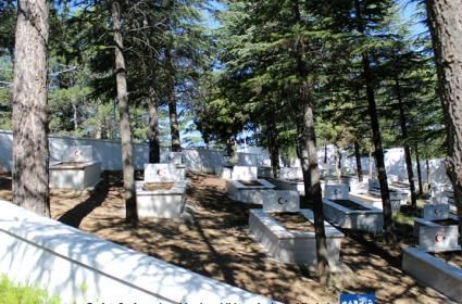 İnönü Şehitliği (Bilecik) 