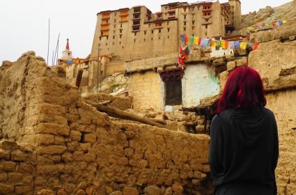 Leh Palace, Leh, Ladakh 