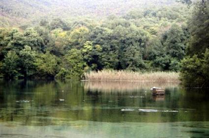 St. Naum Manastırı çevresi 