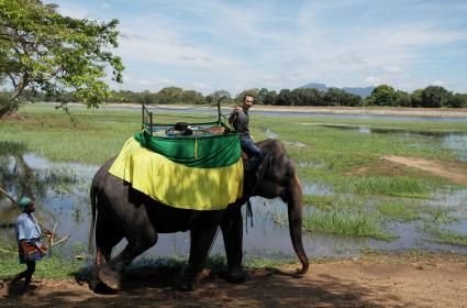 Sri Lanka&#039;da Habarana Gölü kıyısında; 5 Ton ağırlığında, 35 yaşındaki fil Kandula&#039;ya binip, fil bakıcısı Mahoud Ranbanda eşliğinde Habarana Gölü etrafını turladım. (20.04.20016) 