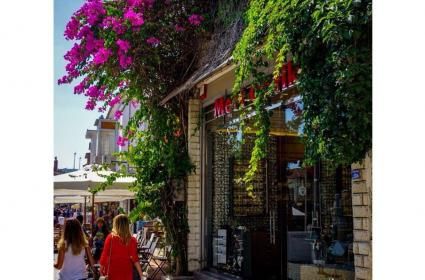 Doğanın renkleri :) 