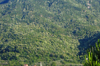 Yalnız ve Güzel Köyüm Gürle - Bursa 