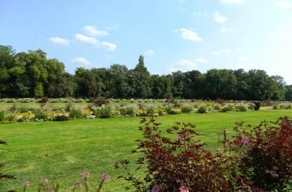 Ecdat Şehri Budapeşte 