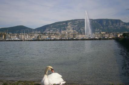 Cenevre Notları  Cenevre Notları