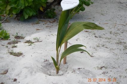 Güney Kore'de Eğlenceli Bir Destinasyon: Daegu  Güney Kore'de Eğlenceli Bir Destinasyon: Daegu