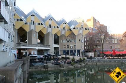 Küçük Gezgin ile Rotterdam  Küçük Gezgin ile Rotterdam