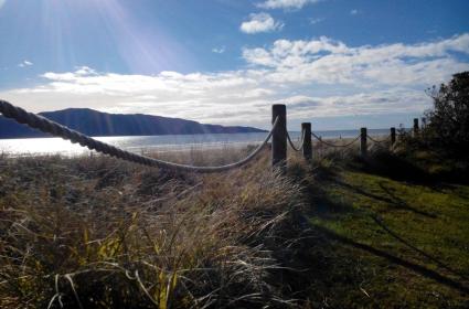 Wellington ve Kapiti Coast Bölgesi  Wellington ve Kapiti Coast Bölgesi