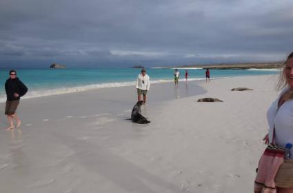 Ekvador'a Bağlı Volkanik Takımadalar: Galapagos Adaları  Ekvador'a Bağlı Volkanik Takımadalar: Galapagos Adaları