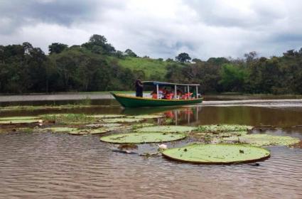 Mister No'nun İzinde: Manaus  Mister No'nun İzinde: Manaus