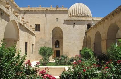 Cruise ile Dünyanın Keşfi - 5. Bölüm: Funchal 