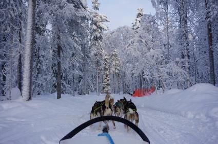 Büyüleyici Bir Kış Masalına Yolculuk - Beyaz Ülke Laponya  Büyüleyici Bir Kış Masalına Yolculuk - Beyaz Ülke Laponya