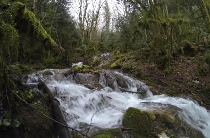 Sülüklü Göl Doğa Yürüyüşü, Bolu  Sülüklü Göl Doğa Yürüyüşü, Bolu