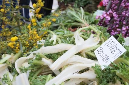 İstanbul&#039;da Süleymaniye Camii Hakkında 