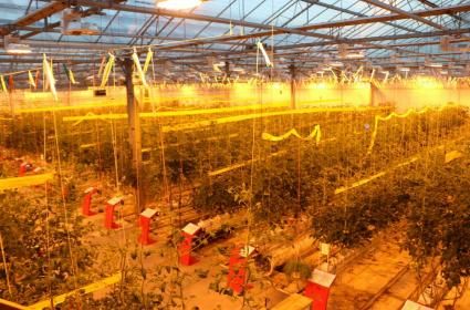 Ljubljana'da Gezilecek ve Görülecek Yerler  Ljubljana'da Gezilecek ve Görülecek Yerler