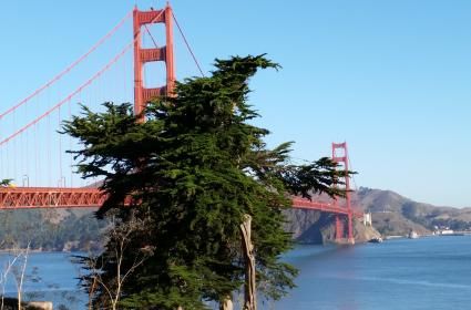 San Francisco'da Yaz  San Francisco'da Yaz