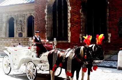 Polonya'nın Tarih Başkenti: Krakow  Polonya'nın Tarih Başkenti: Krakow