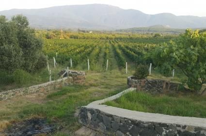 Bir Yudum Köy - Gökçealan, Selçuk 