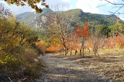 Bir Yudum Köy – Nazarköy / İzmir 