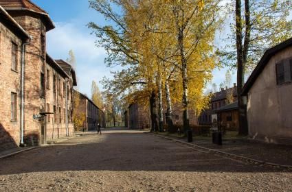 İç Ürperten Auschwitz  İç Ürperten Auschwitz