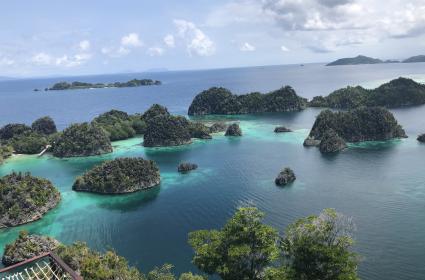 Raja Ampat Gezisi: Piaynemo ve Teluk Kabui  Raja Ampat Gezisi: Piaynemo ve Teluk Kabui