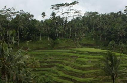 Güler Yüzlü İnsanlar Diyarı Bali 