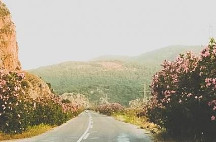 Dalyan : Köyceğiz Gölü, Sultaniye Kaplıcaları ve Çandır Köyü Dalyan : Köyceğiz Gölü, Sultaniye Kaplıcaları ve Çandır Köyü