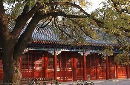 Pekin ve Yazlık Saray 