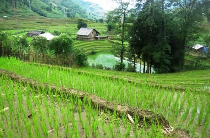 Vietnam'a Gitmek İçin 7 Sebep  Vietnam'a Gitmek İçin 7 Sebep