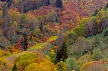 Artvin ve Çevresi  Artvin ve Çevresi