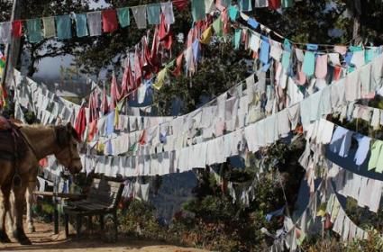 Taktsang Manastırı'na Zorlu Tırmanış: Paro Taktsang Manastırı'na Zorlu Tırmanış: Paro
