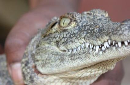 Dünyayı Geziyorum&#039;dan Unutulmaz Bir Darüsselam Keşfi 