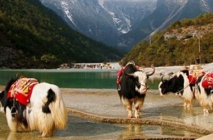 Lijıang ve Çevresi Lijıang ve Çevresi