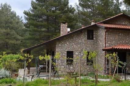 Orkide Cenneti ve Mantar Lezzetli Fethiye Yeşilüzümlü Köyü 