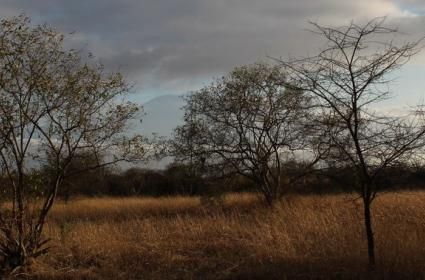 Safariye Giriş Kapısı Arusha