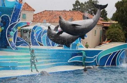 San Diego Sea World ve Old Town Bölgesi