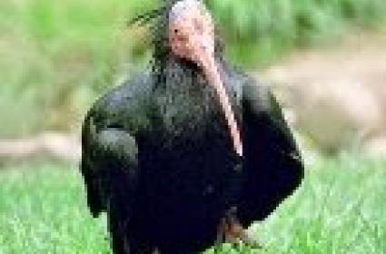 Pakistan'ın En Çok Tarihi Eser Bulunan, En Güzel Şehri: Lahor  Pakistan'ın En Çok Tarihi Eser Bulunan, En Güzel Şehri: Lahor