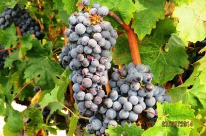 Bask Bölgesi Gezisi 