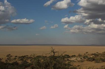 Sonsuz Düzlük Serengeti