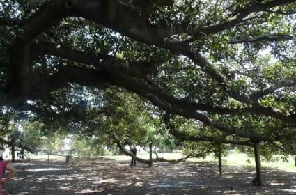 Sanat Şehri Bakü Gezisi  Sanat Şehri Bakü Gezisi