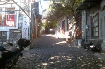 Jaipur Gezisi ve Festival Deneyimi 