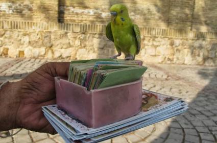 İstanbul&#039;un Yanı Başındaki Güzellik: Şile ve Deniz Feneri 
