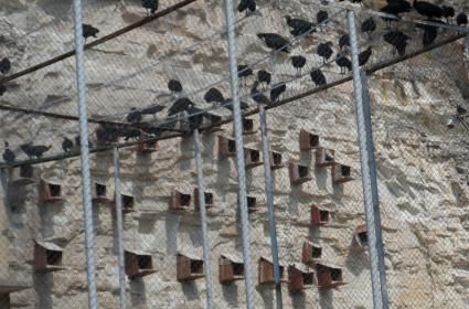 Dünyanın En Yüksek İkiz Kuleleri: Petronas Kuleleri, Kuala Lumpur  Dünyanın En Yüksek İkiz Kuleleri: Petronas Kuleleri, Kuala Lumpur