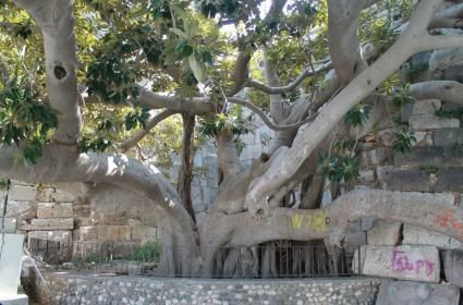 Güz Günlerinde Antalya&#039;da Olmak 