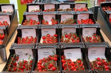 Aydın'da Tesadüfen Bulunan Görkemli Şehir: Afrodisias  Aydın'da Tesadüfen Bulunan Görkemli Şehir: Afrodisias