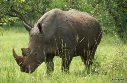 Demre&#039;de St. Nicholas Kilisesi Ziyareti 