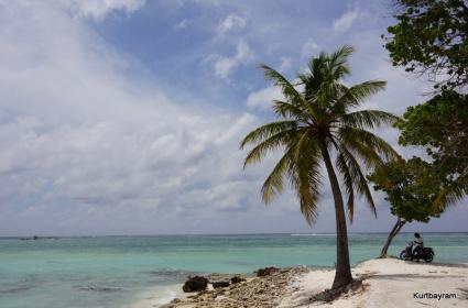 Tarih, Üzüm Bağları ve Şarap: St. Emıllıon 