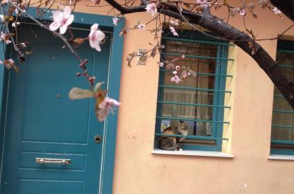 Lut Gölü / Ölü Deniz: Dünyanın En Alçak Noktası  Lut Gölü / Ölü Deniz: Dünyanın En Alçak Noktası